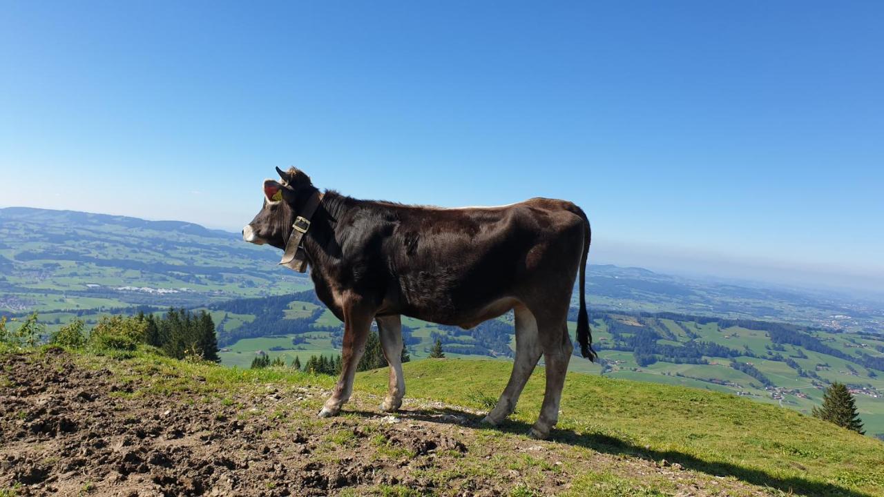 Moderne FeWo im Allgäu mit Spülmaschine Weitnau Exterior foto