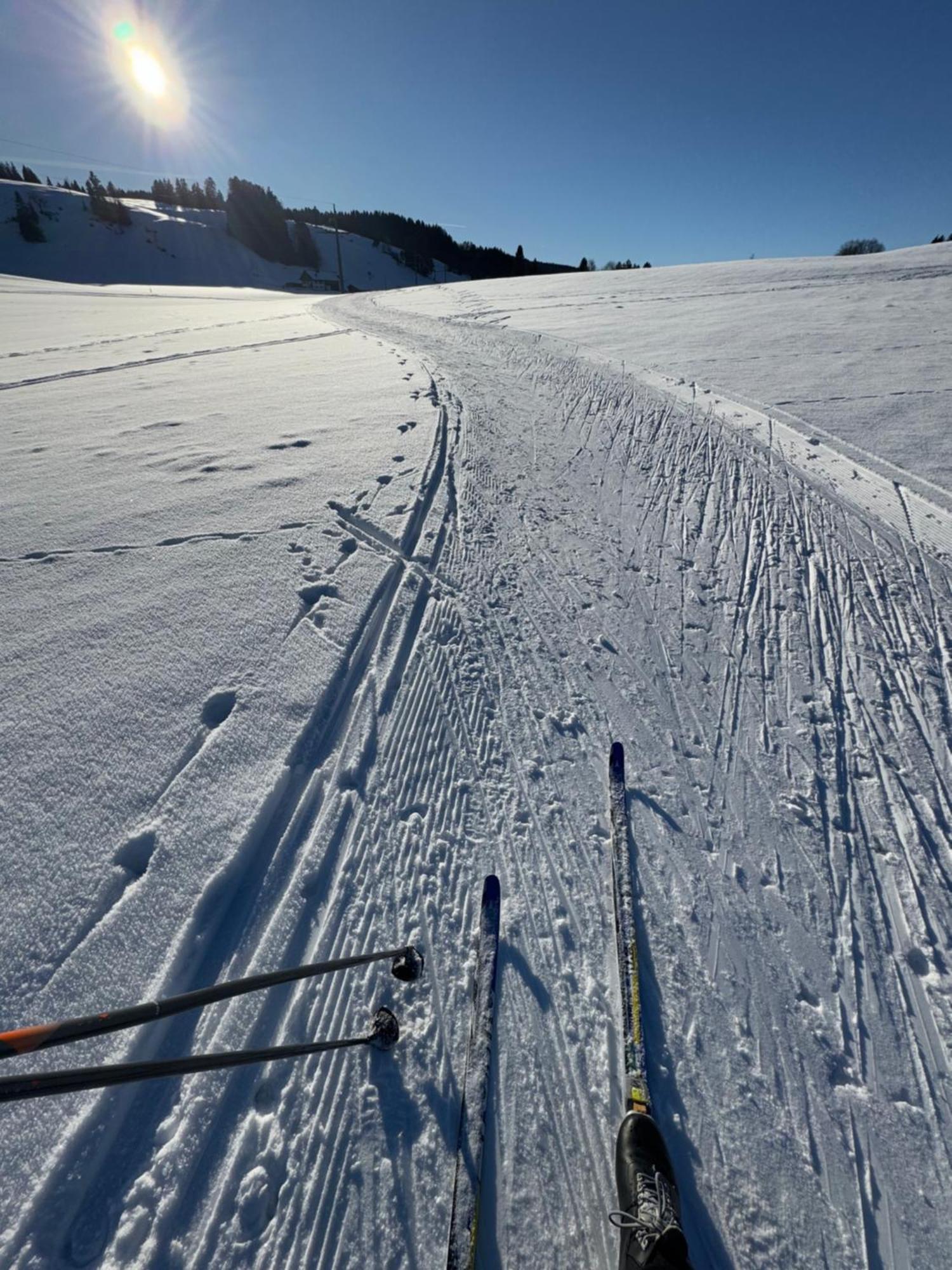 Moderne FeWo im Allgäu mit Spülmaschine Weitnau Exterior foto