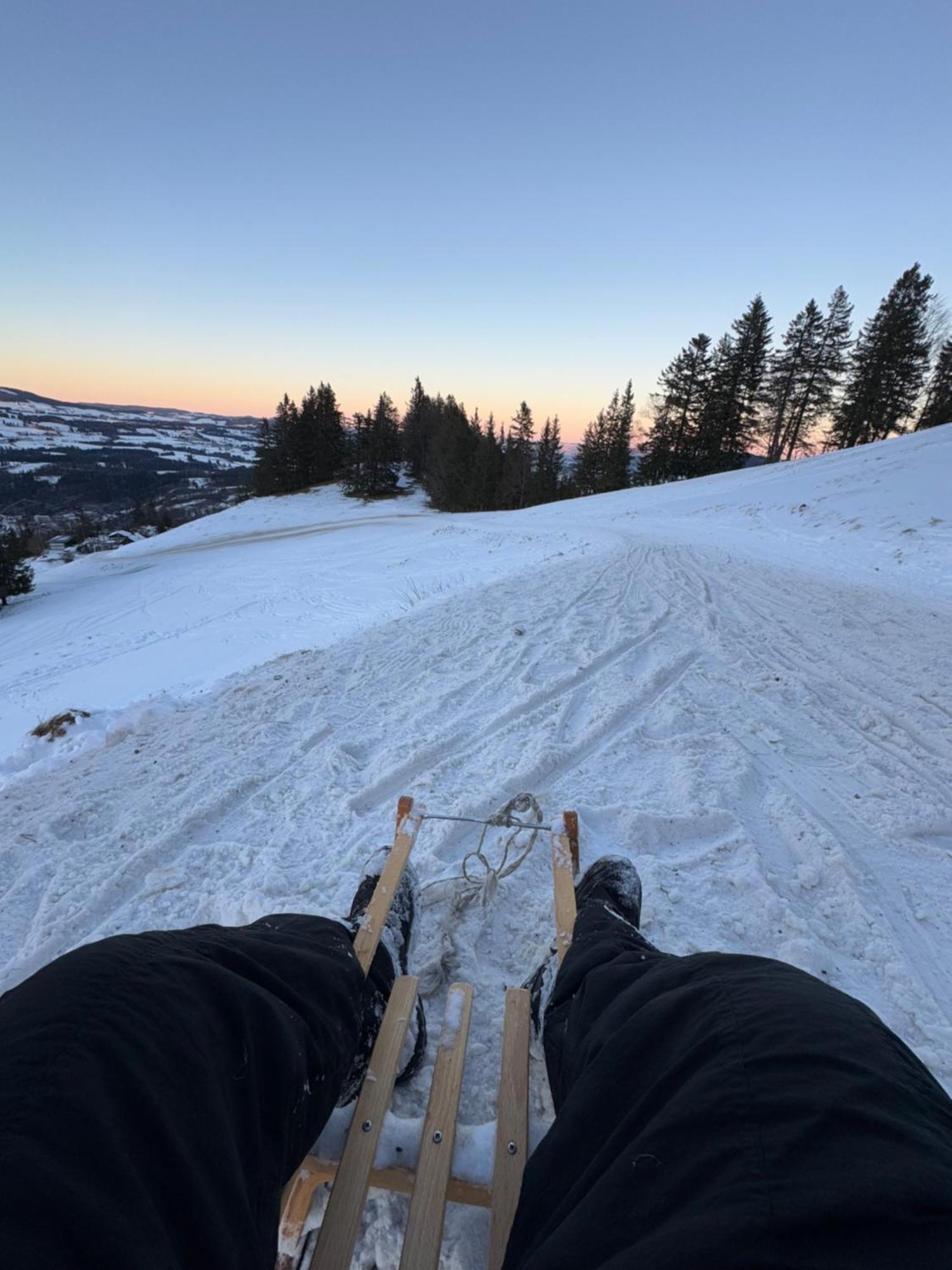 Moderne FeWo im Allgäu mit Spülmaschine Weitnau Exterior foto