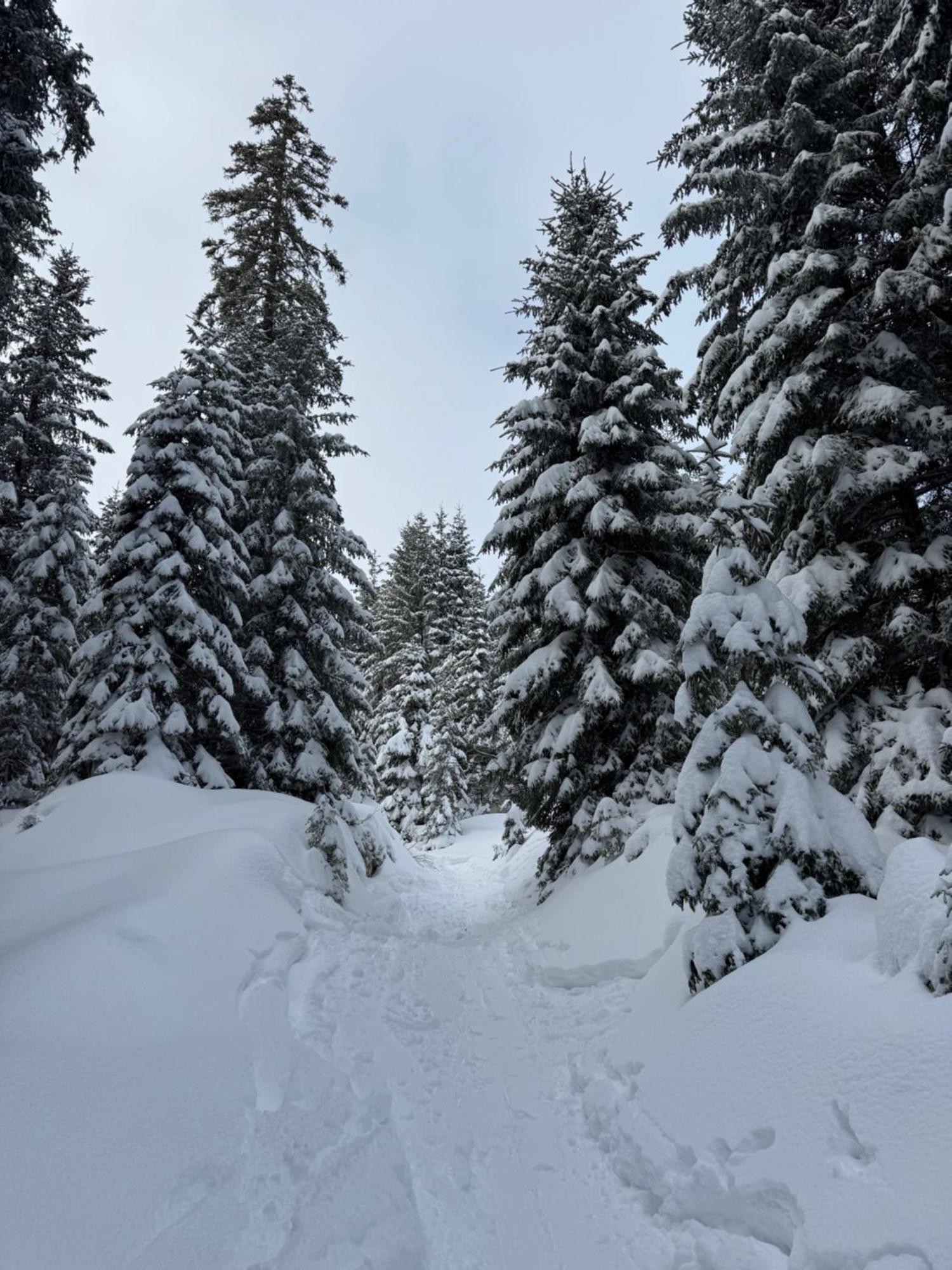 Moderne FeWo im Allgäu mit Spülmaschine Weitnau Exterior foto