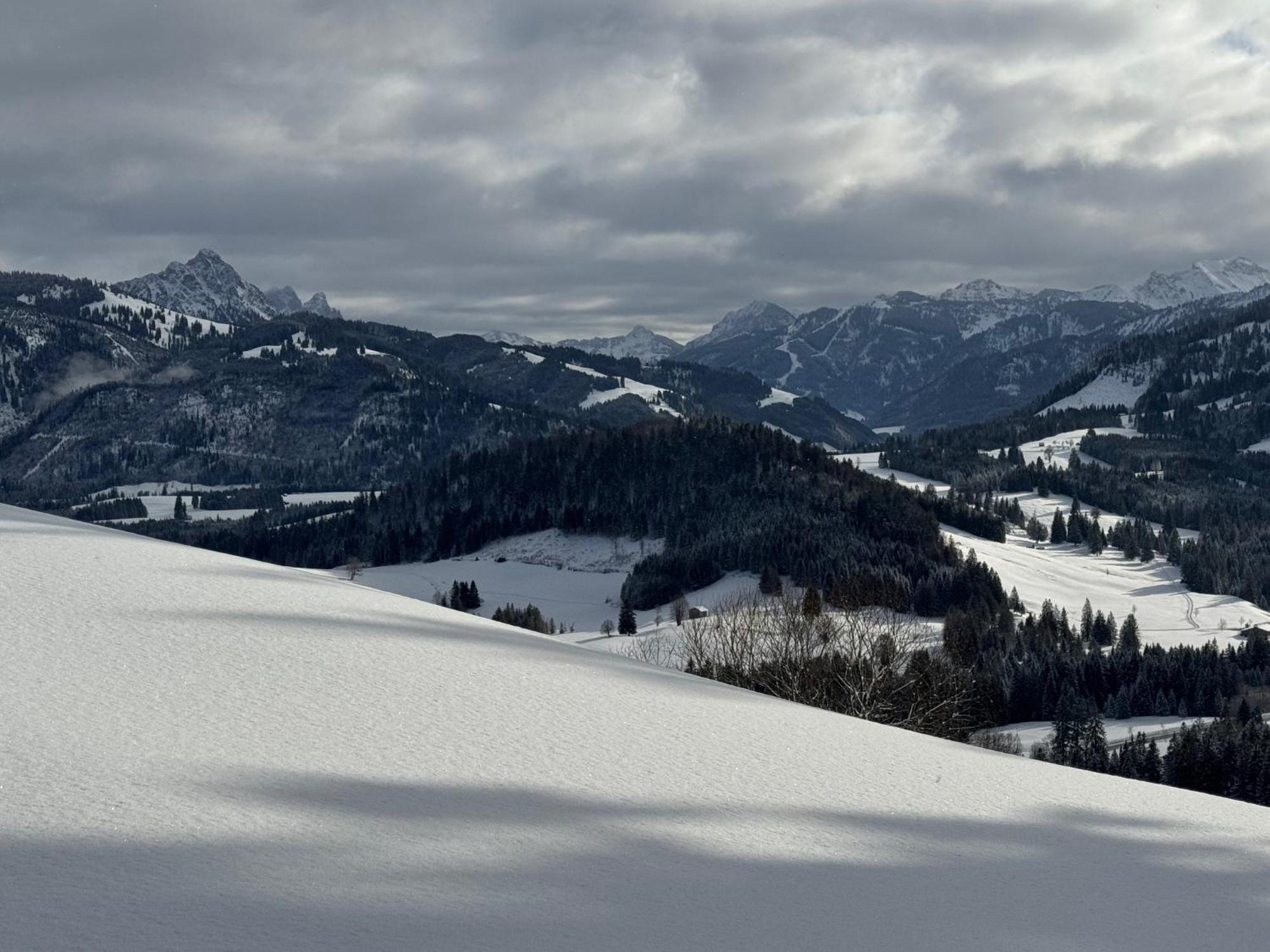 Moderne FeWo im Allgäu mit Spülmaschine Weitnau Exterior foto