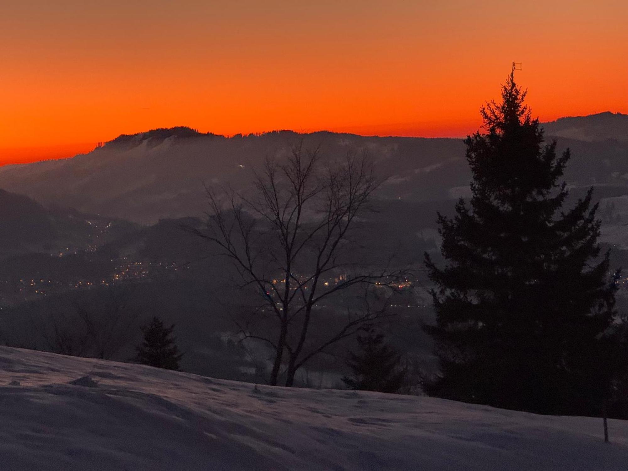 Moderne FeWo im Allgäu mit Spülmaschine Weitnau Exterior foto