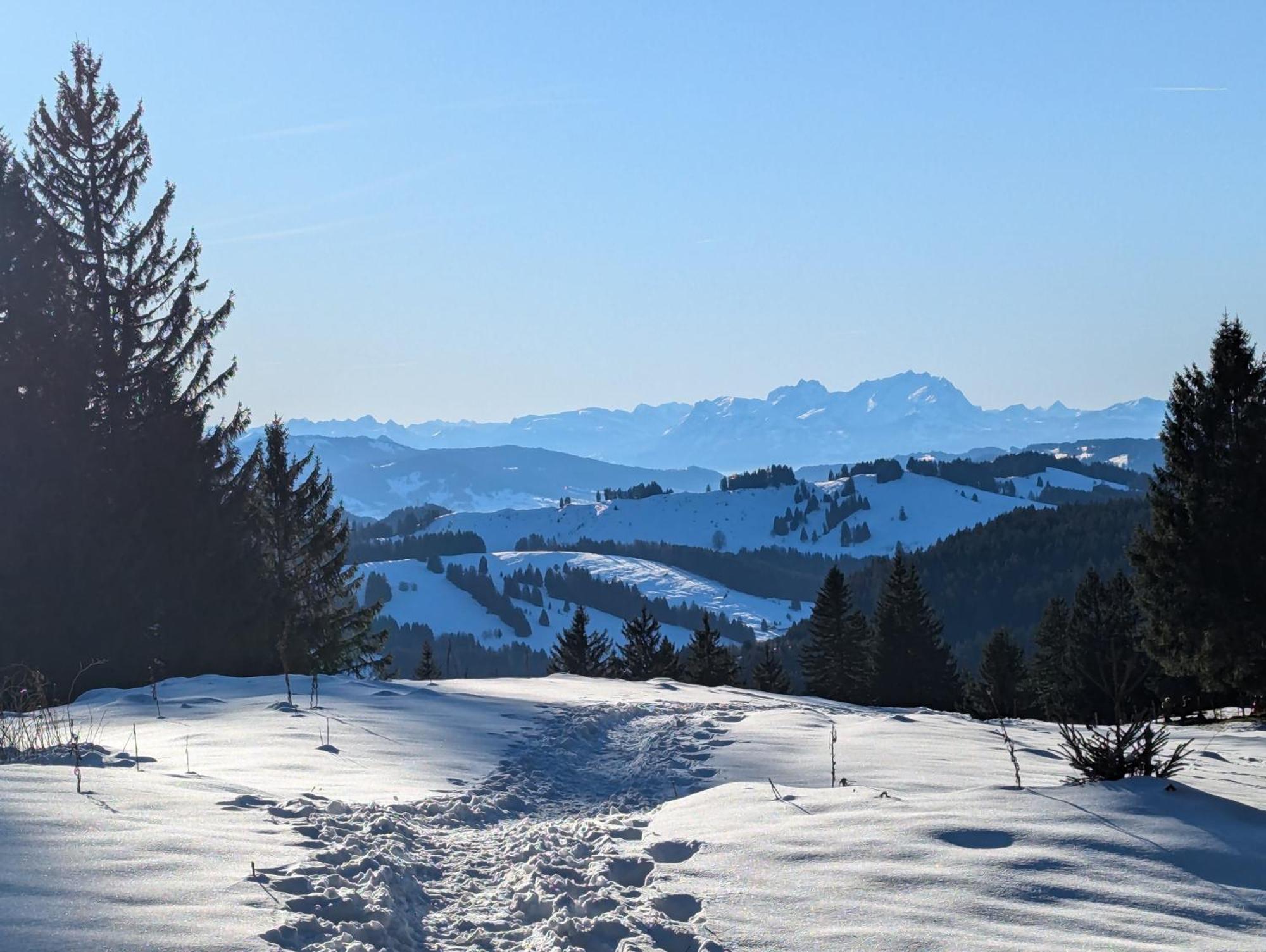 Moderne FeWo im Allgäu mit Spülmaschine Weitnau Exterior foto